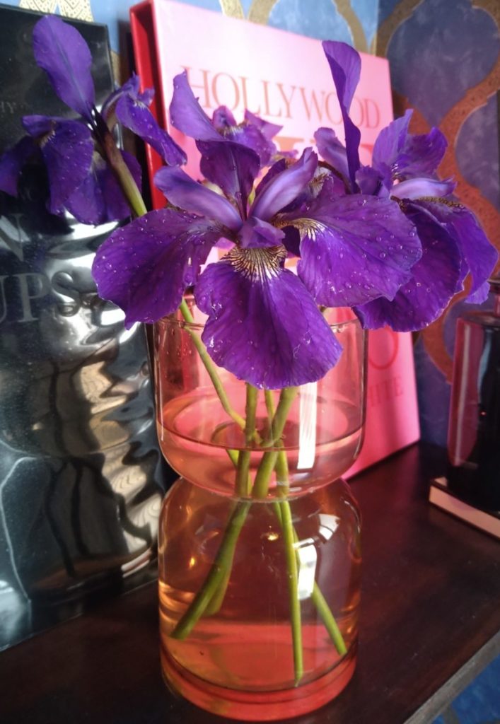 現在の画像に代替テキストがありません。ファイル名: DSC_1226-e1748139903904.jpg